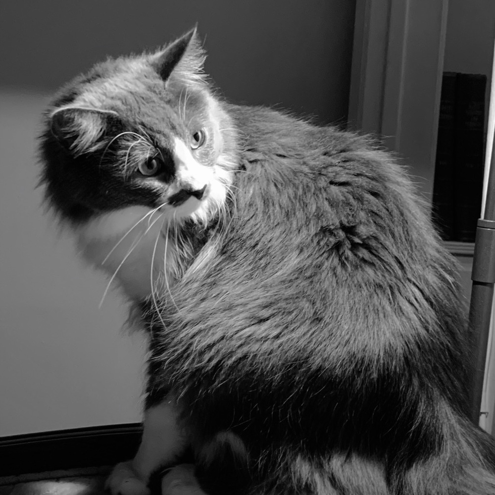 Meet your Posher, Jr